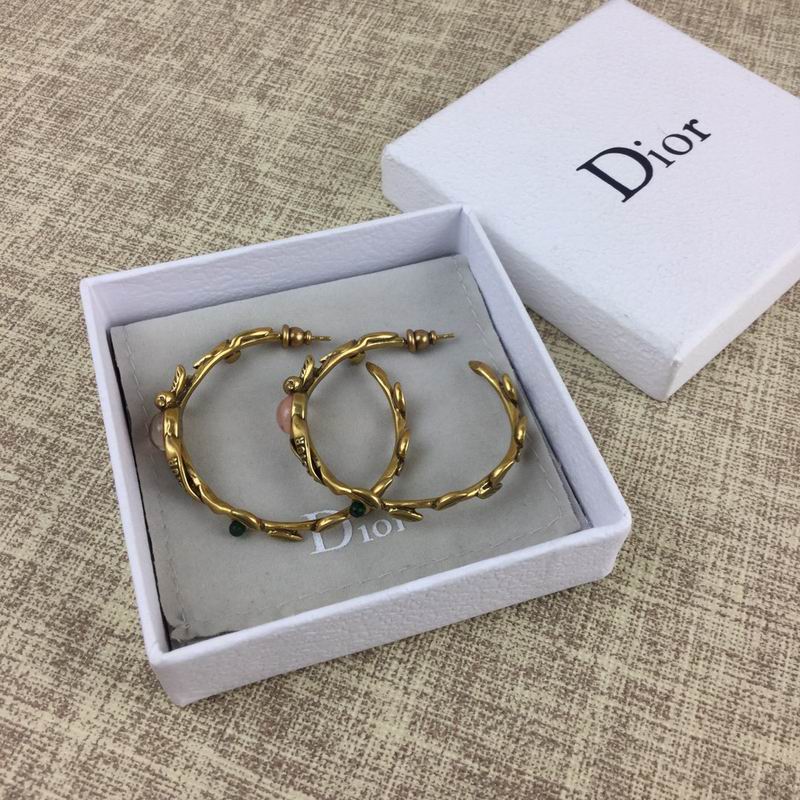 Dior Earring 04lyr311